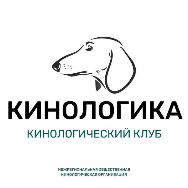 Выставка – важно знать!