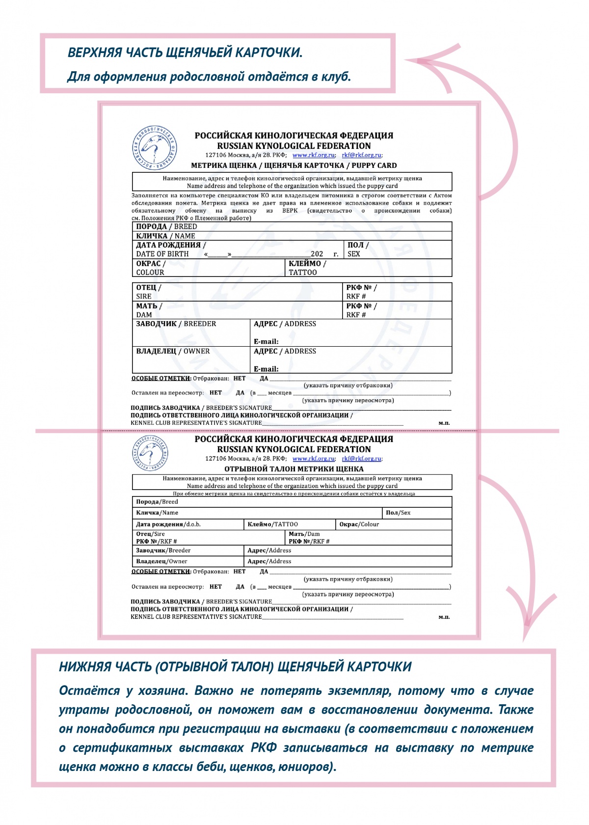 Оформление родословной РКФ