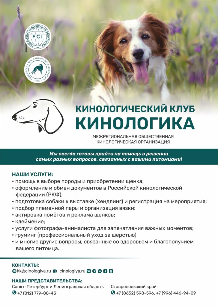 МОКО «КИНОЛОГИЧЕСКИЙ КЛУБ КИНОЛОГИКА»
