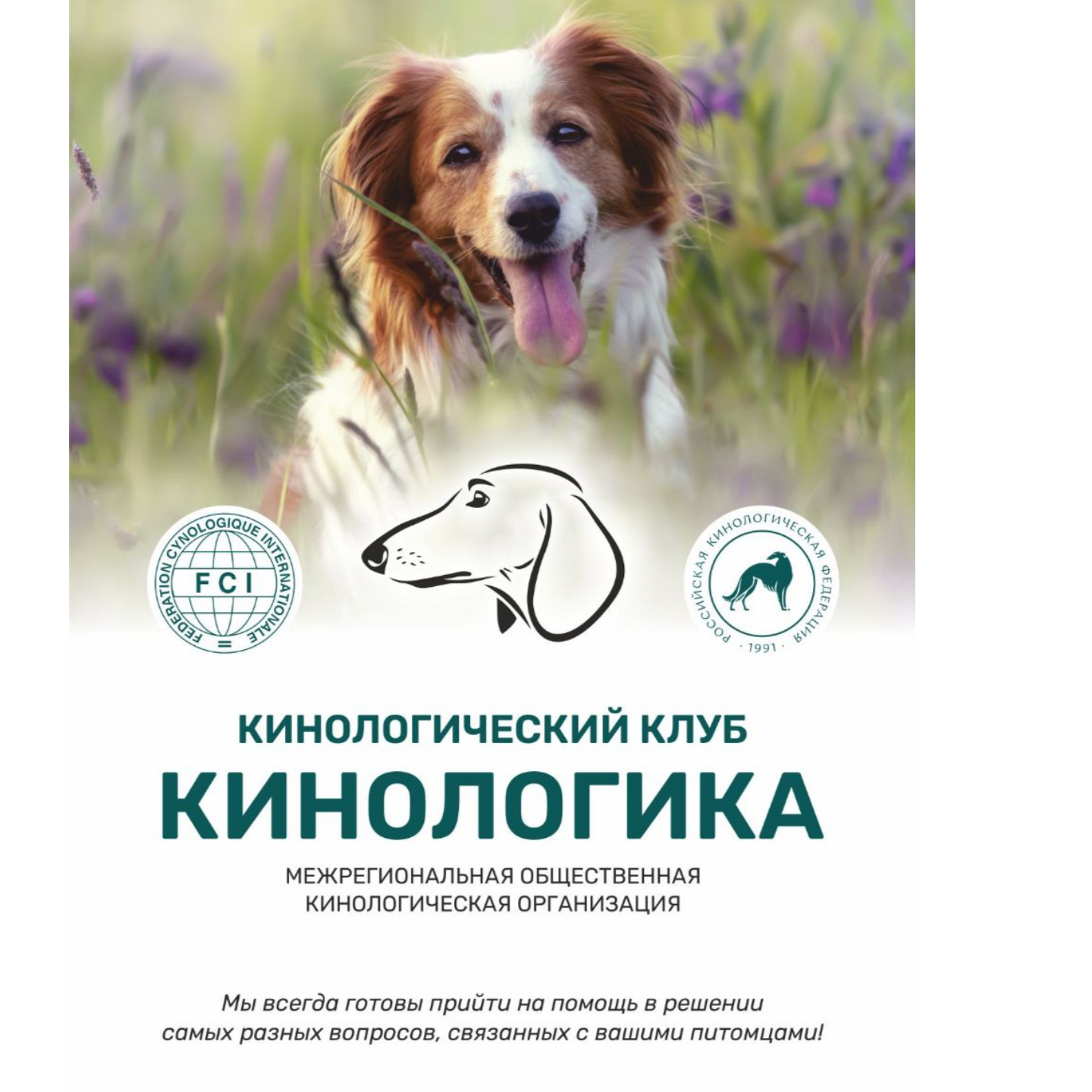 О нас