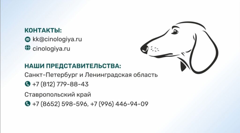 Дорогие друзья!