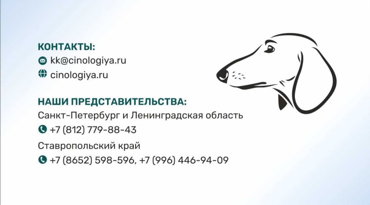 Дорогие друзья!