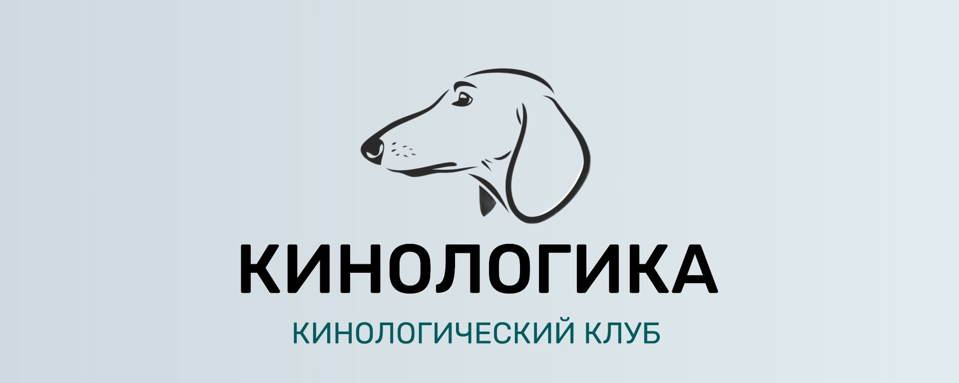 Как восстановить родословную, если документы утеряны?