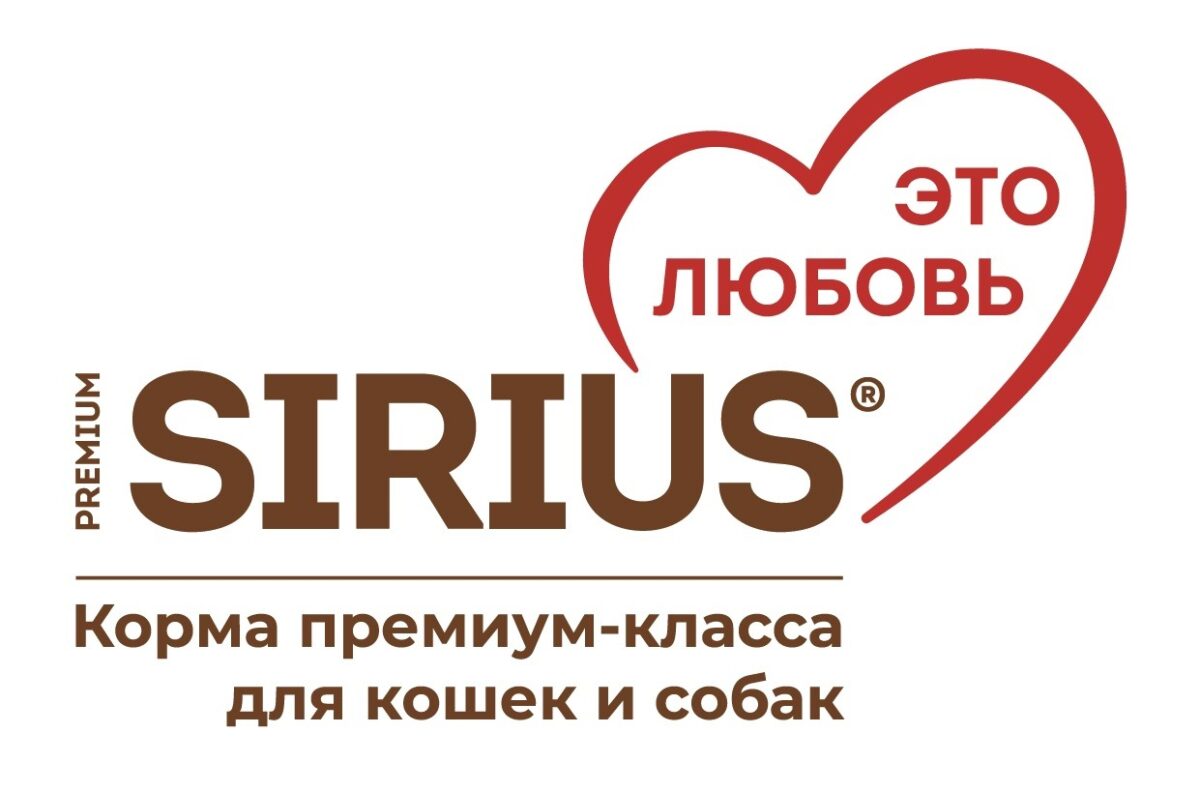 Логотип партнера Sirius